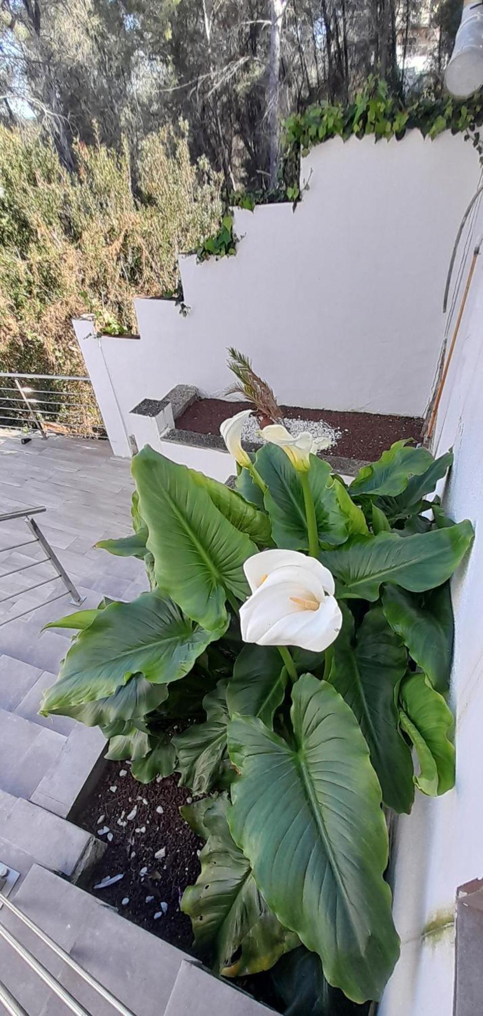 Villa Avril Piscina Privada Y Amplias Terrazas Olivella ภายนอก รูปภาพ